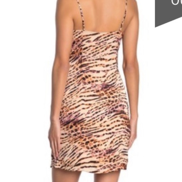 Naked Zebra Animal Print Satin minidress - Picture 2 of 8